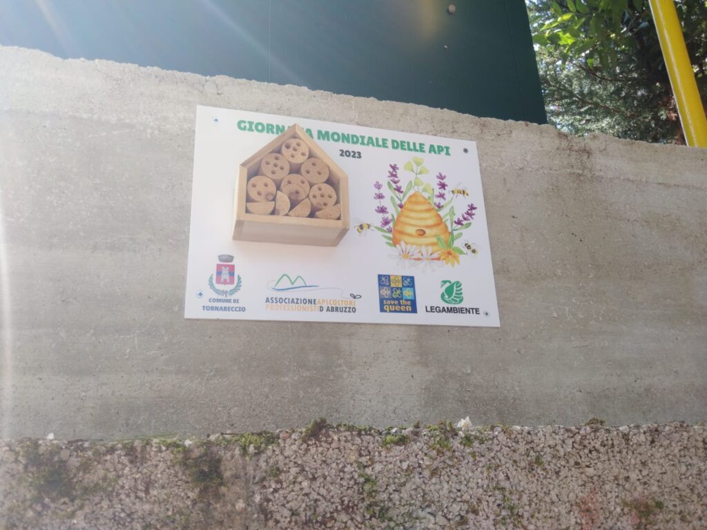 Bee Hotel: anche a Tornareccio l'oasi di biodiversità per aiutare gli insetti impollinatori 6 bee hotel 2