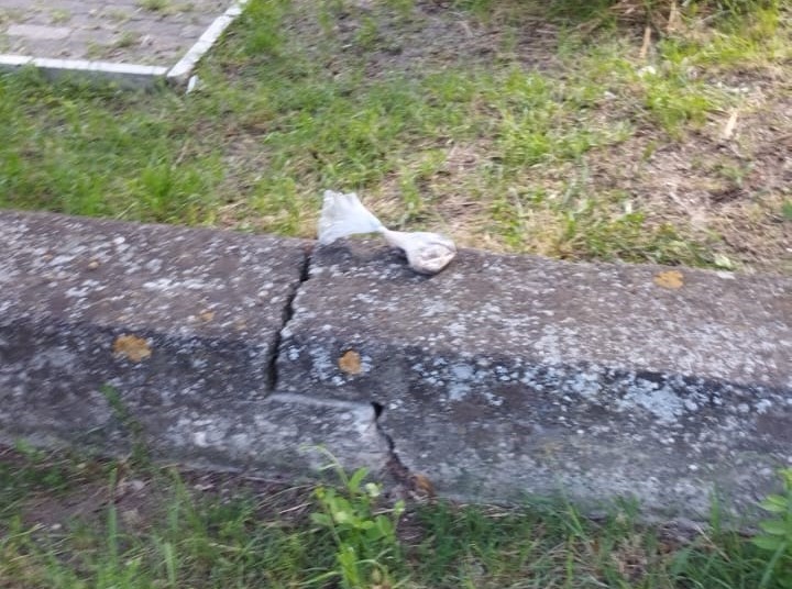 I rifiuti della villetta di via Platone - Gallery 2 villetta via platone 1