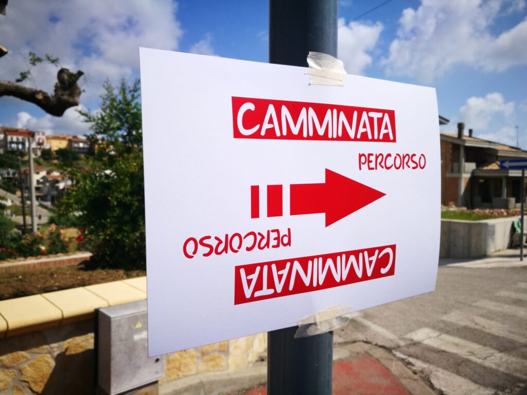 Camminata d'estate: sport, condivisione e divertimento 3 WhatsApp Image 2023 06 25 at 13.13.11