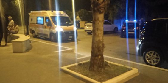 Altri casi di aggressione alla Marina - Gallery 3 aggressione canoide 3