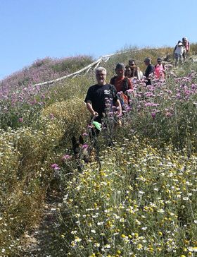 Lezione cinofila passeggiando nella Riserva - Gallery 2 corti8