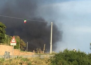 incendio alla ecofox