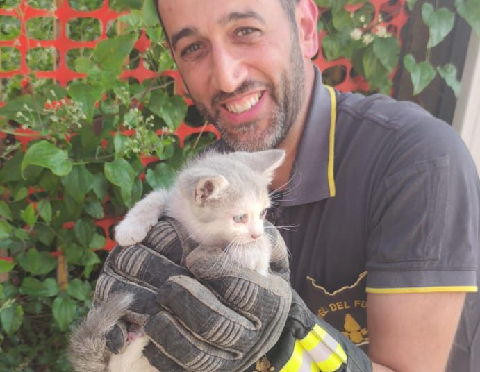 Il vigile che ha salvato il gattino
