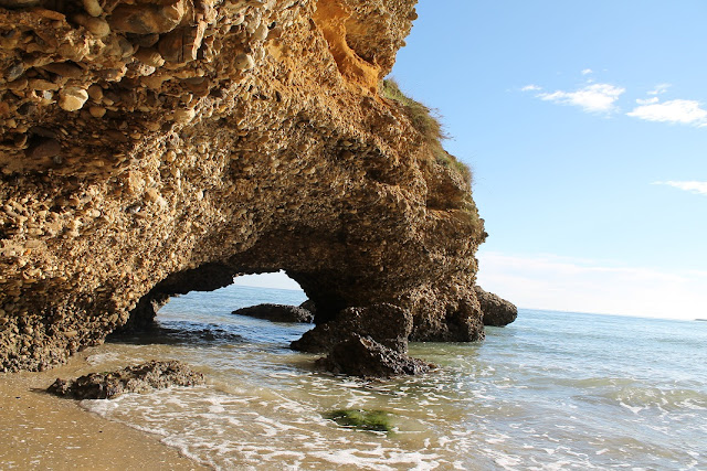 Mare, sole e storia: viaggio nella nostra Costa a caccia di curiosità del passato 6 30IMG 2406 1