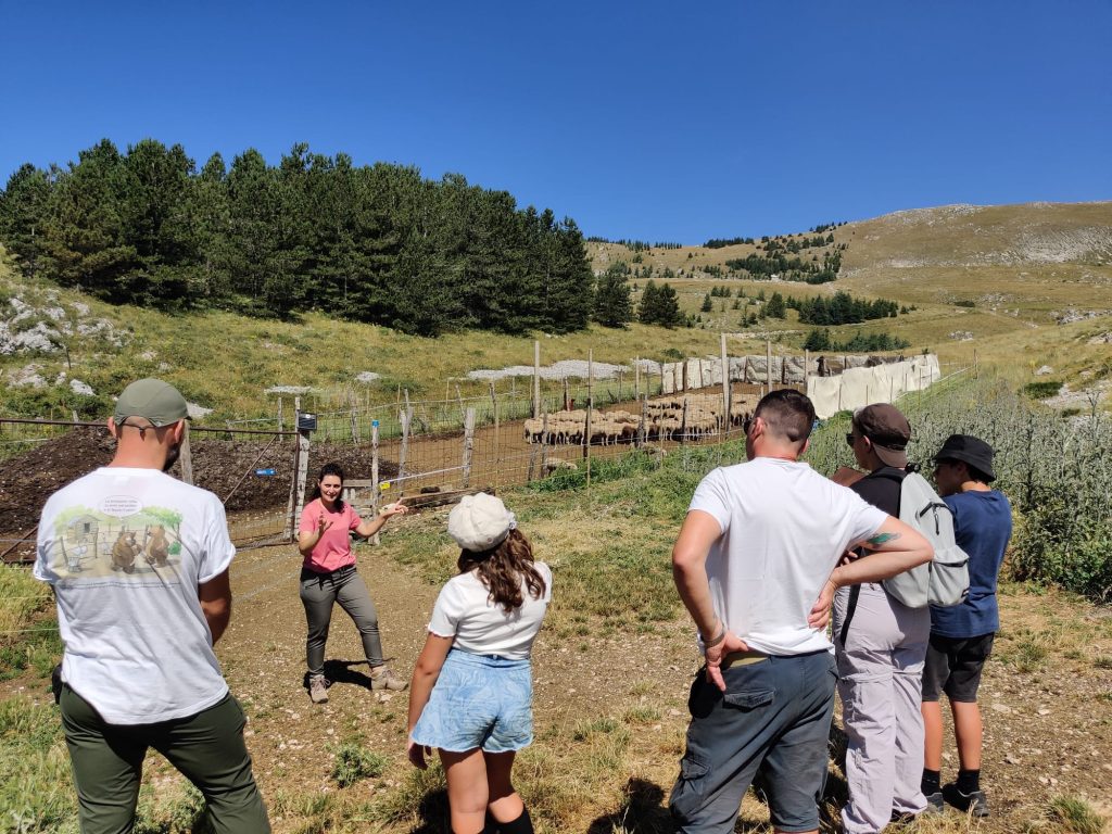 Campo famiglia WWF nelle terre dell'Orso 2 immagine campi orso1