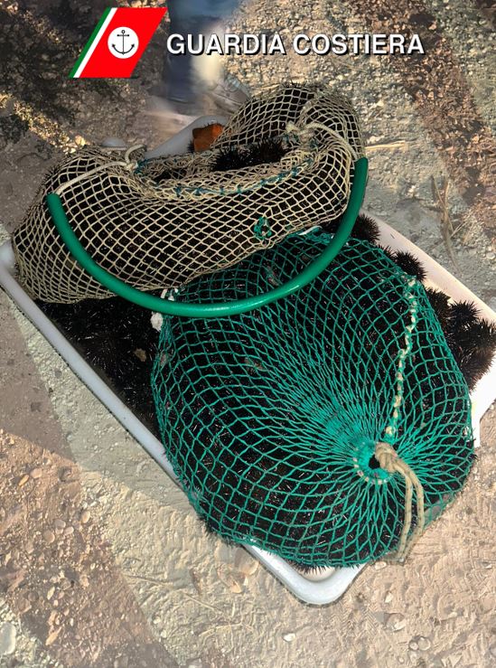 Blitz contro pescatori di frodo della Capitaneria di porto di Ortona 2 guardia costiera 1 1