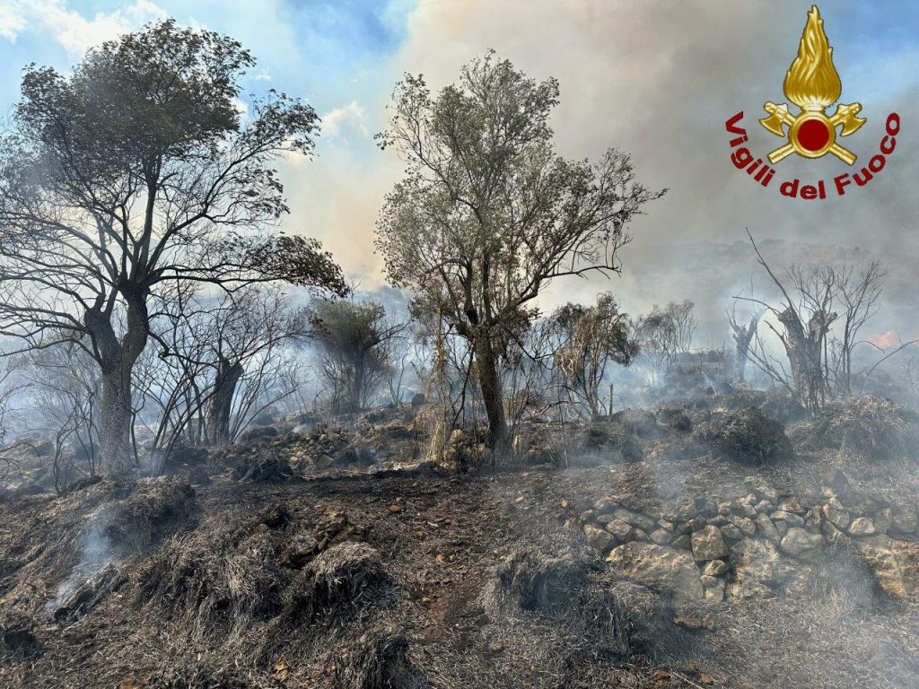 Incendio boschivo alle porte di Venafro 2 incendio2