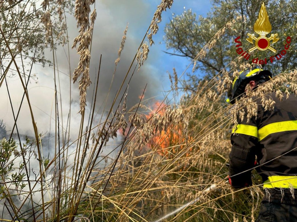 Incendio boschivo alle porte di Venafro 3 incendio3