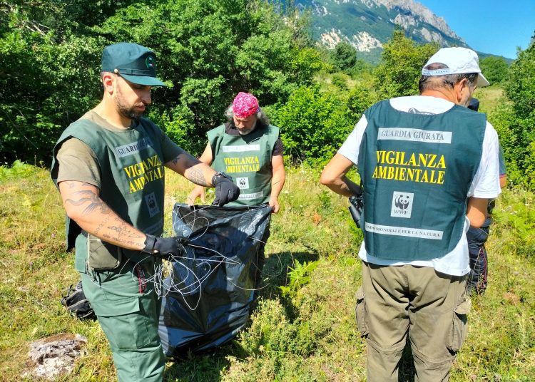vigilanza ambientale ap