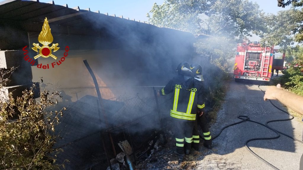 Molise, incendio di sterpaglie coinvolge due rimesse agricole 2 vigili del fuoco 1
