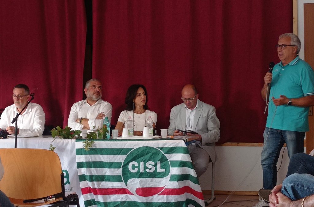 Vendemmia 2023: la sfida cruciale del settore Vitivinicolo in Abruzzo e Molise 4 373532974 723136413159556 1082463712008162591 n