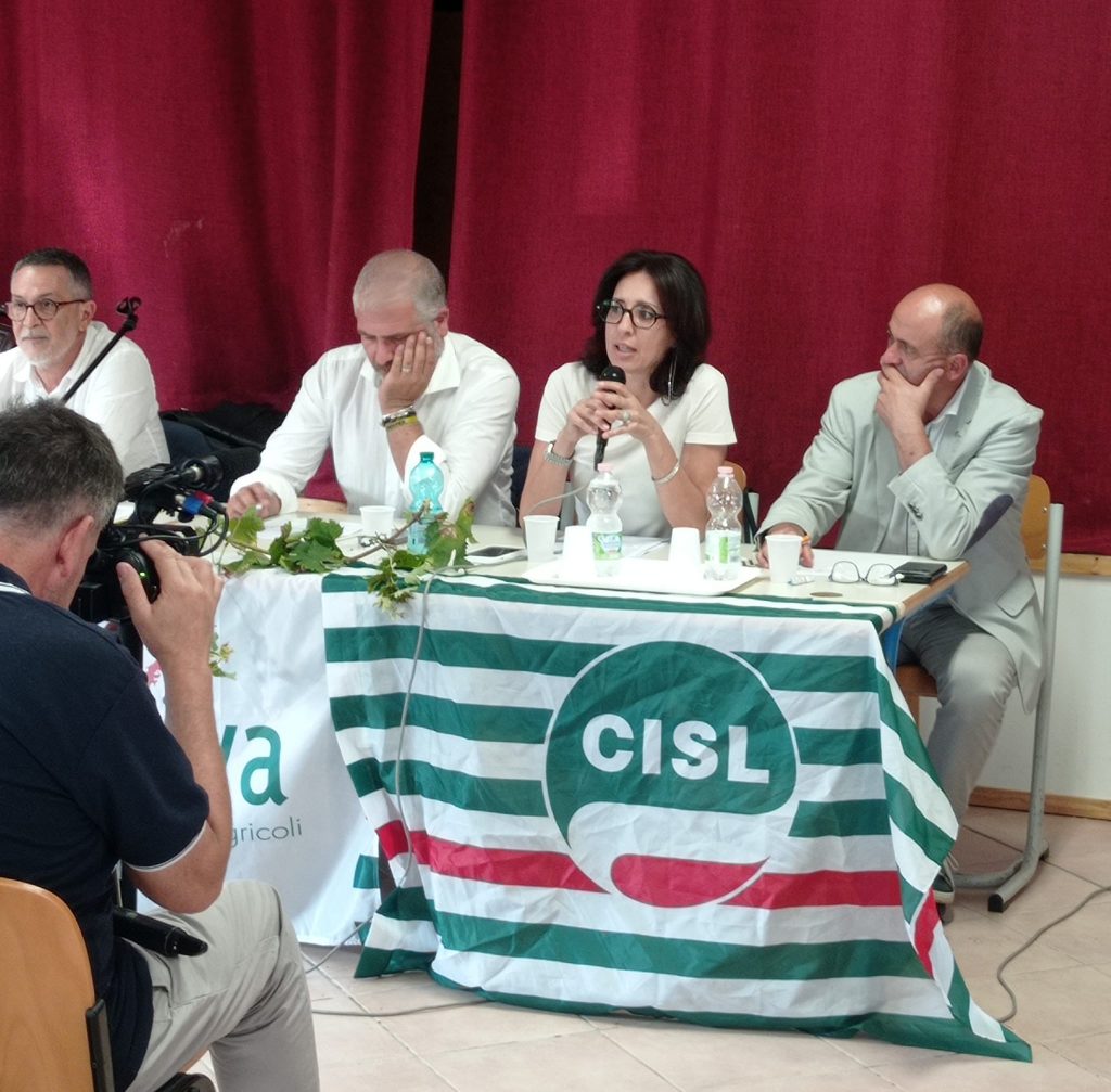 Vendemmia 2023: la sfida cruciale del settore Vitivinicolo in Abruzzo e Molise 2 373614965 723136213159576 6485150916029819639 n