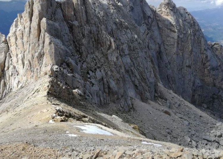 Progetto senza titolo 20