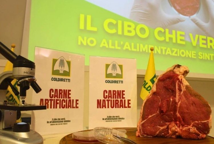 Progetto senza titolo 2023 09 17T135636.891