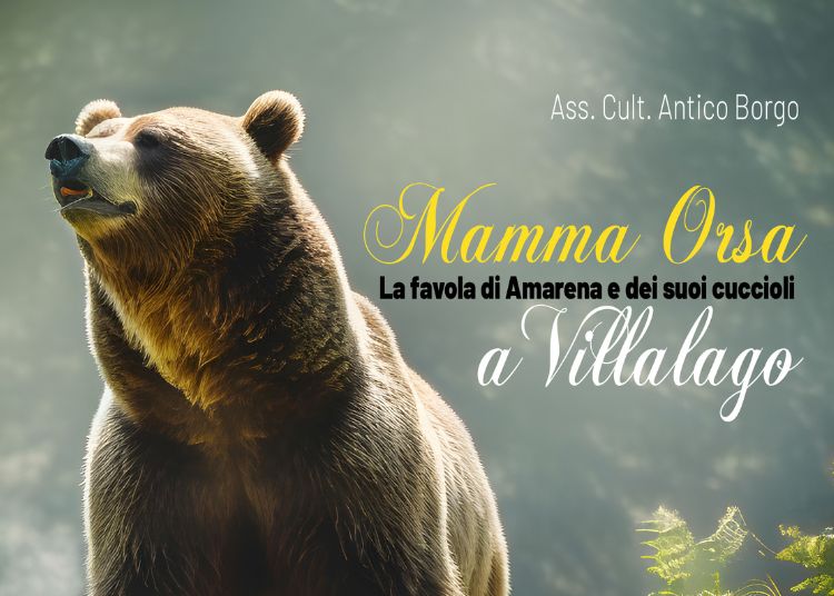 Progetto senza titolo 43