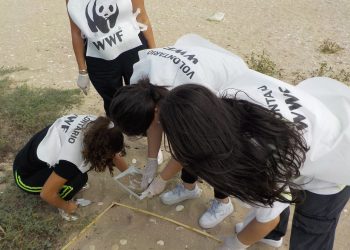 Alla ricerca di microplastiche