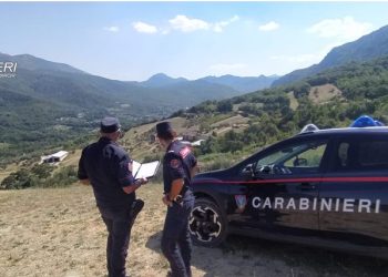 carabinieri forestali