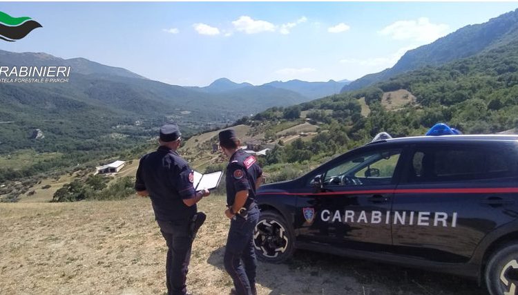 carabinieri forestali