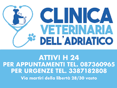 clinica deladriatico banner vetrina