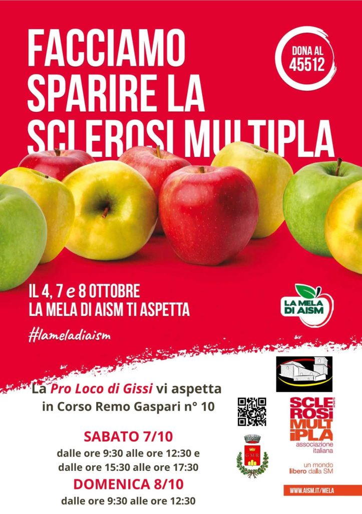 Nel weekend raccolta fondi per l'Aism 2 sclerosi multipla