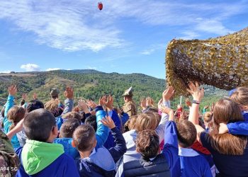 Progetto senza titolo 20 1