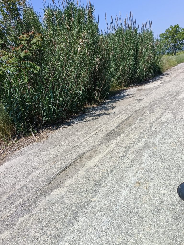 «Fondovalle Sinello in totale abbandono» 2 fondovalle 1