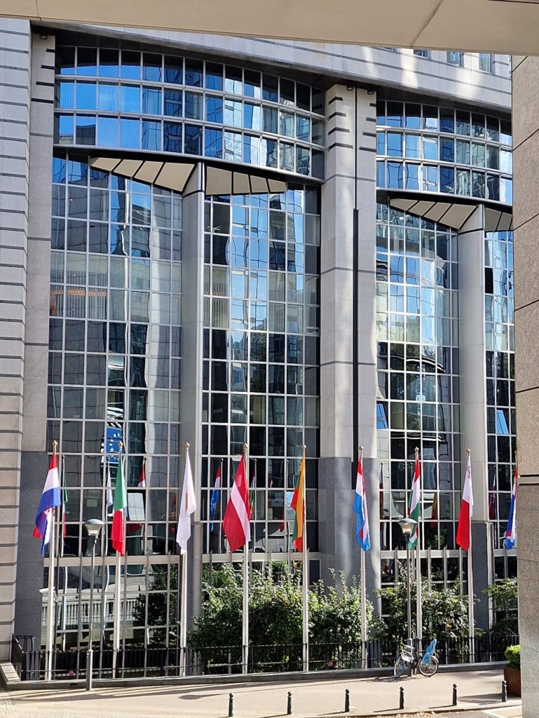 Nei palazzi che contano dell'Unione europea 4 mattioli 3