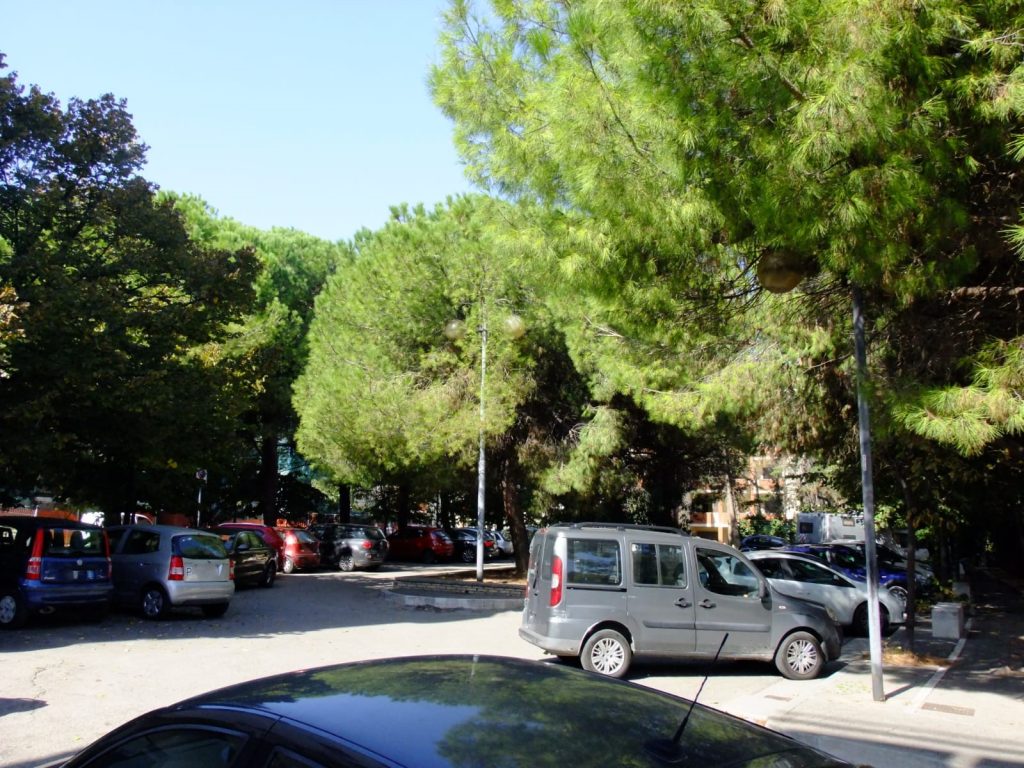«Lasciate in pace gli alberi» 4 quartiere due pini 3