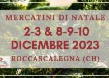 Progetto senza titolo 2023 11 30T011211.147