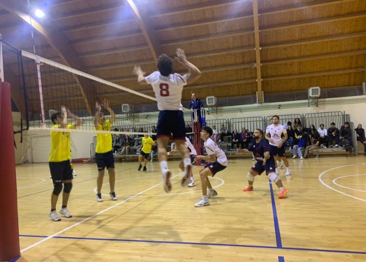 V Volley Serie D Maschile