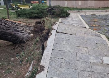 Un albero caduto nella villa comunale di Vasto