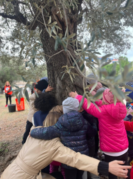 “La Festa dell'albero” 4 albero azzurro1