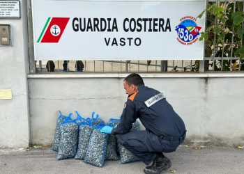 guardia costiera vasto