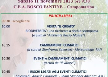 locandina in cammino nel creato