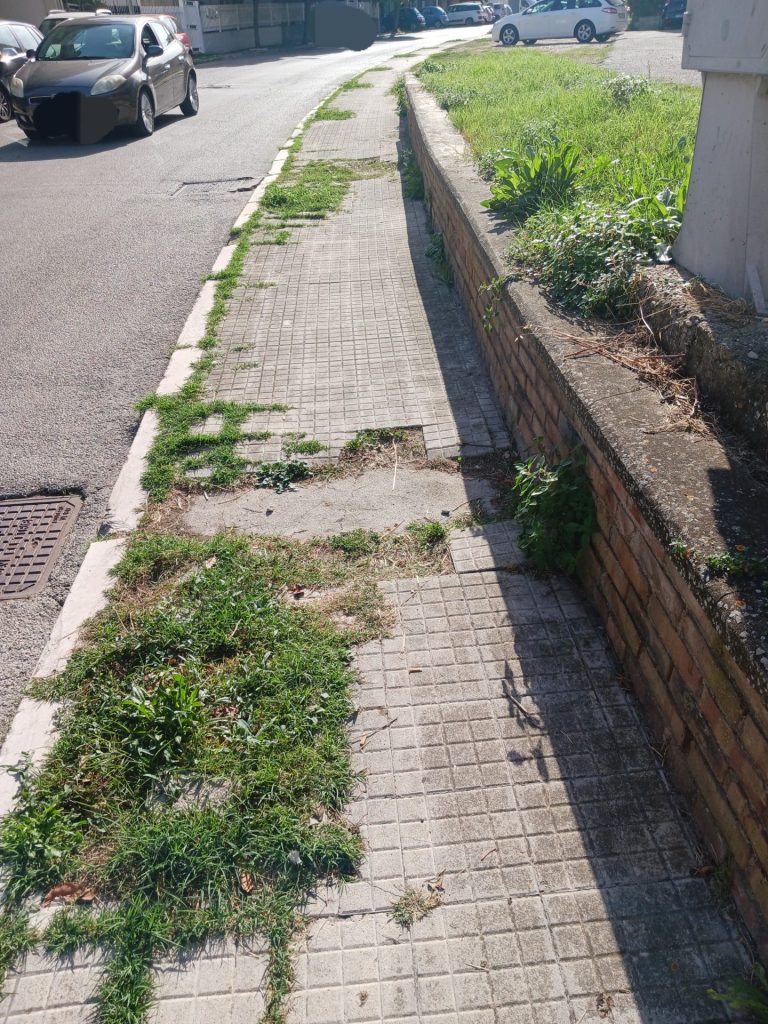 Vasto, «il quartiere di via delle Gardenie è abbandonato da 40 anni» 3 via delle gardenie 3