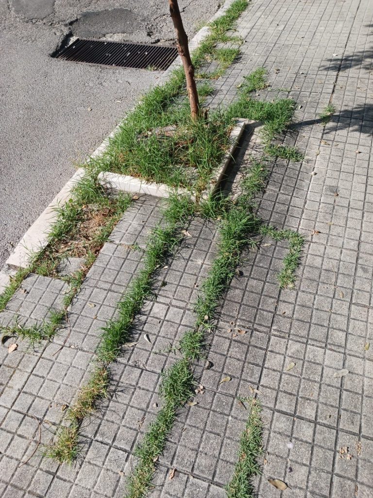 Vasto, «il quartiere di via delle Gardenie è abbandonato da 40 anni» 4 via delle gardenie 4