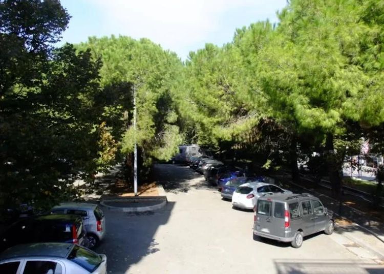 Centinaia di alberi tagliati: l'anno nero del verde a Vasto 3 Villetta Due Pini