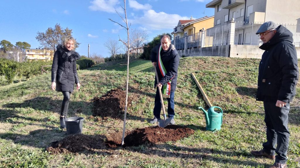 A Fossacesia una piantina per ogni vita nuova 9 fossacesia 8