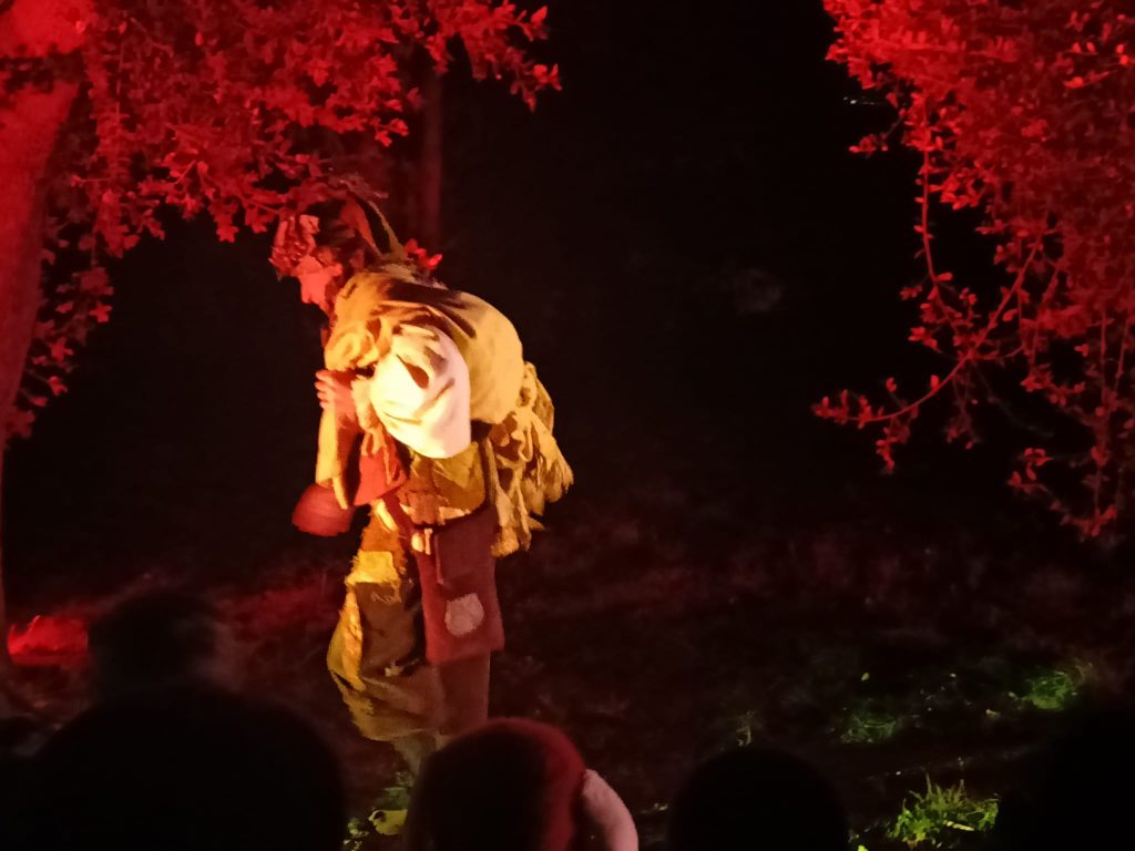 La magia di Santa Claus nella villa comunale di Vasto 3 guardiani delloca 8