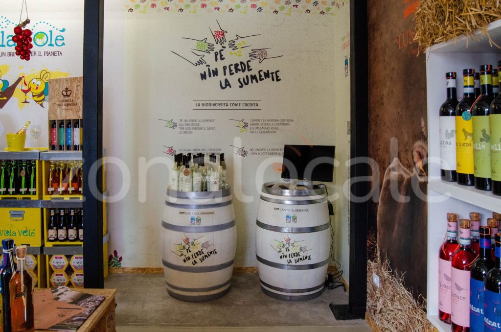 Vasto, inaugurata la Bio Vineria: un viaggio sensoriale tra vini biologici e biodinamici 2 zonalocale griff 1 1