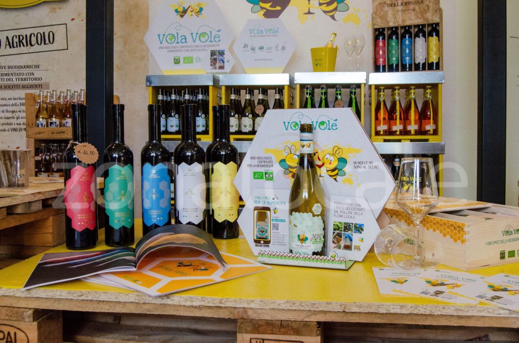 Vasto, inaugurata la Bio Vineria: un viaggio sensoriale tra vini biologici e biodinamici 12 zonalocale griff 11