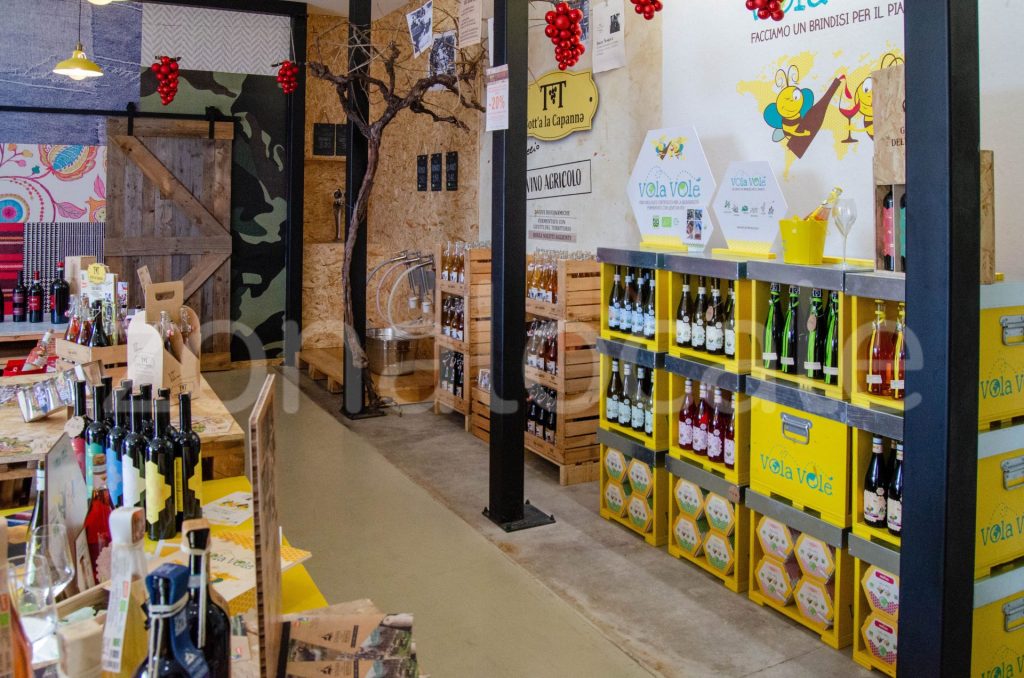 Vasto, inaugurata la Bio Vineria: un viaggio sensoriale tra vini biologici e biodinamici 14 zonalocale griff 13