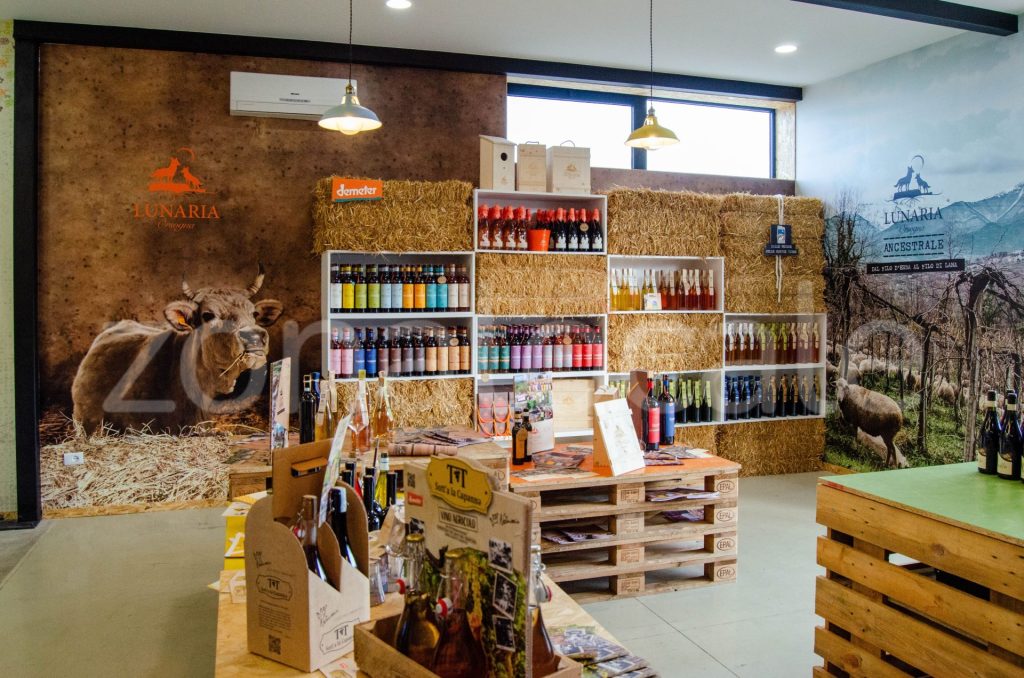 Vasto, inaugurata la Bio Vineria: un viaggio sensoriale tra vini biologici e biodinamici 15 zonalocale griff 14
