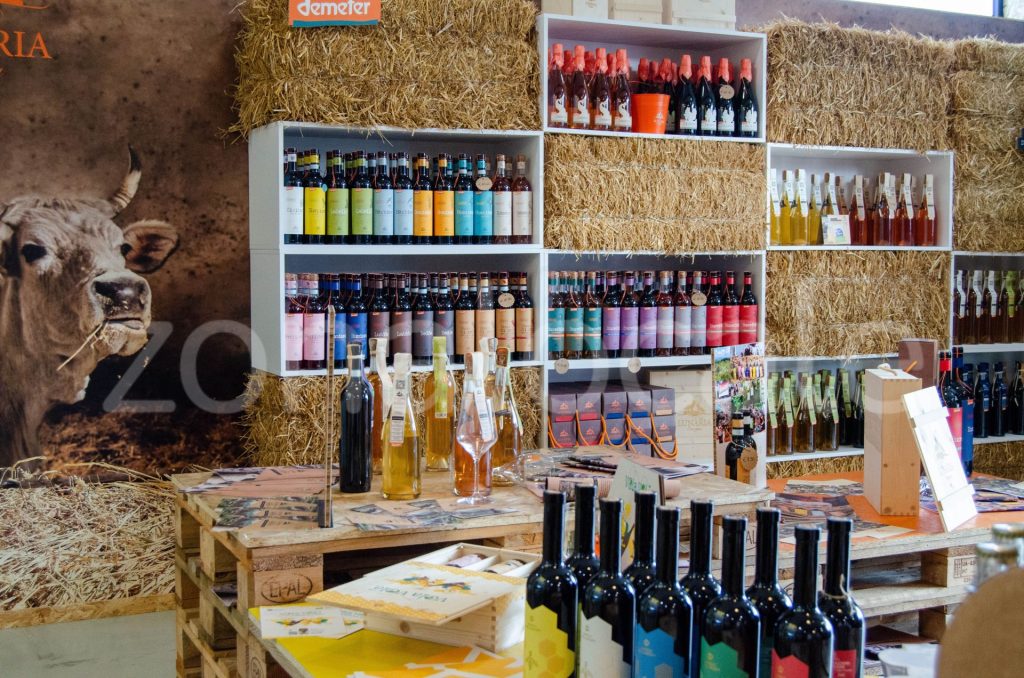 Vasto, inaugurata la Bio Vineria: un viaggio sensoriale tra vini biologici e biodinamici 16 zonalocale griff 15