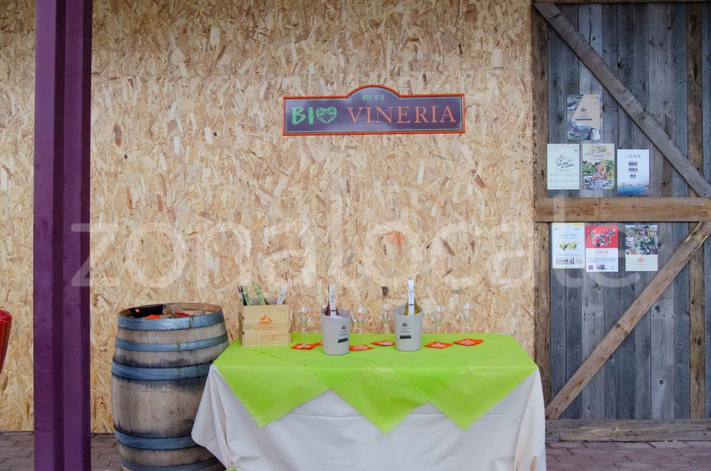 Vasto, inaugurata la Bio Vineria: un viaggio sensoriale tra vini biologici e biodinamici 17 zonalocale griff 16