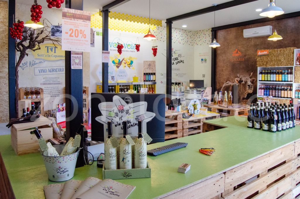 Vasto, inaugurata la Bio Vineria: un viaggio sensoriale tra vini biologici e biodinamici 4 zonalocale griff 3 1