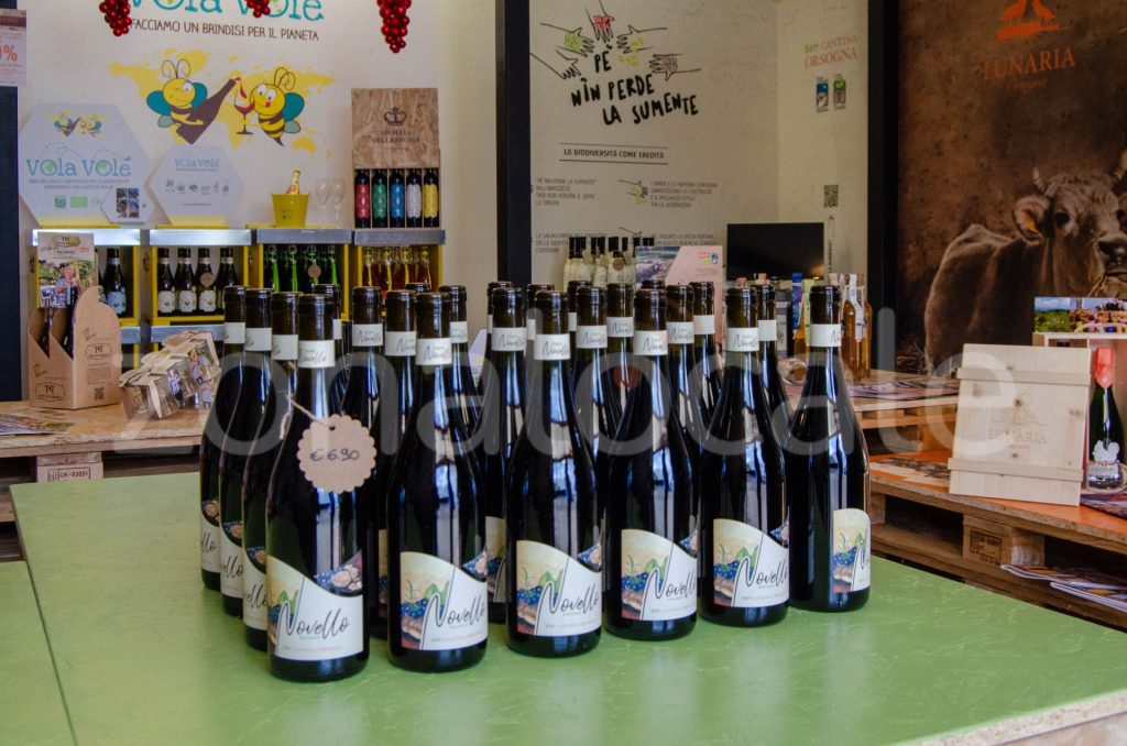 Vasto, inaugurata la Bio Vineria: un viaggio sensoriale tra vini biologici e biodinamici 5 zonalocale griff 4 1
