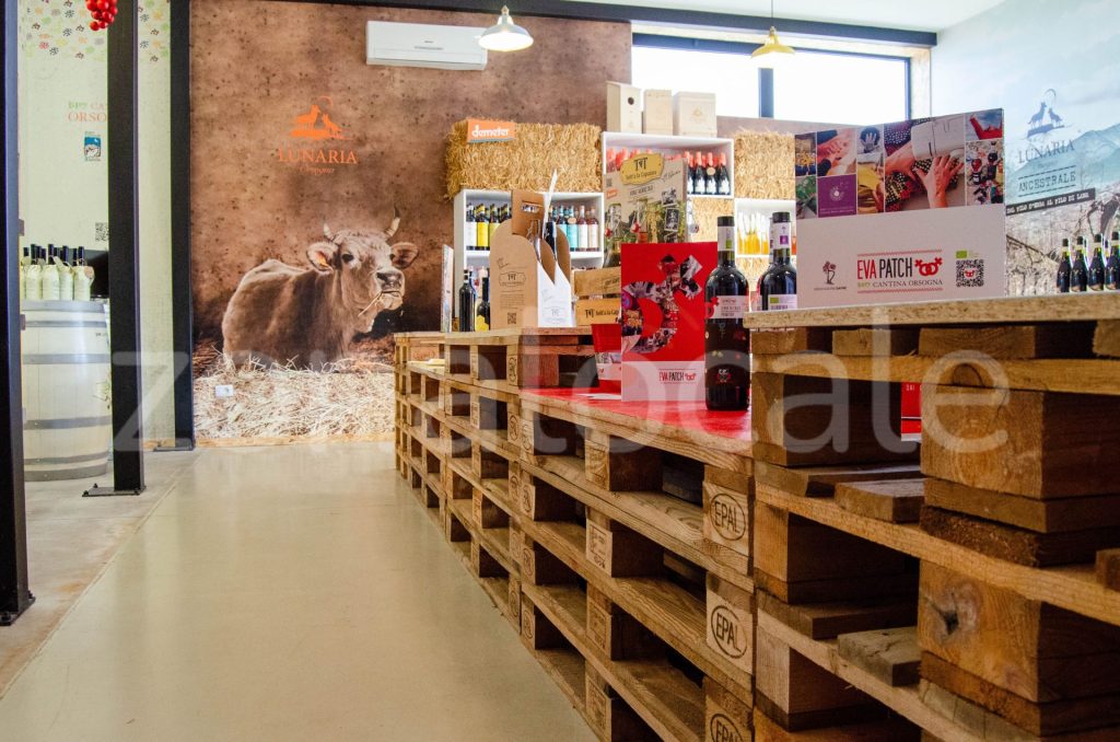 Vasto, inaugurata la Bio Vineria: un viaggio sensoriale tra vini biologici e biodinamici 6 zonalocale griff 5 1