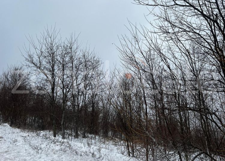 Torna la neve a Schiavi D'Abruzzo e Castiglione Messer Marino 4 Neve 8