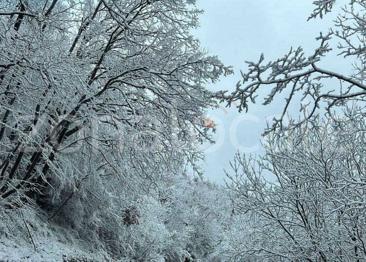 Torna la neve a Schiavi D'Abruzzo e Castiglione Messer Marino 3 Neve 9